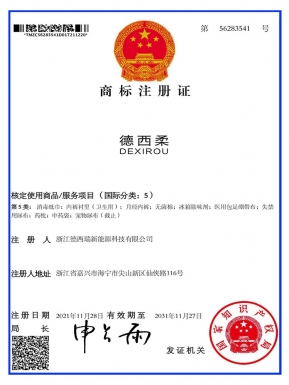 浙江德西瑞新能源商標(biāo)注冊證 (1)