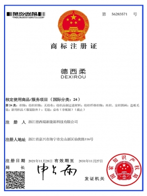 浙江德西瑞新能源商標(biāo)注冊證 (2)